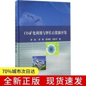 CO2礦化利用與鉀長石資源開發(fā)