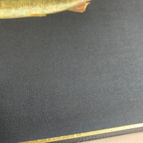 日本回流字画，鱼拓，泉探次郎作品，绢本精致色纸，鲇鱼。