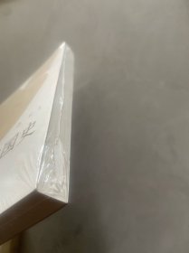 城的中国史（许宏新作品 考古大家写小书）