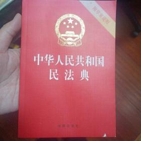 中华人民共和国民法典（32开压纹烫金附草案说明）2020年6月