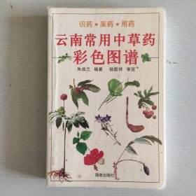 云南常用中草药彩色图谱:识药·采药·用药