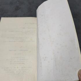 陈燕妮：纽约意识——她在大洋彼岸