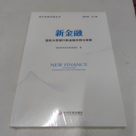 新金融：国有大型银行新金融实践与探索（现代化新征程丛书）