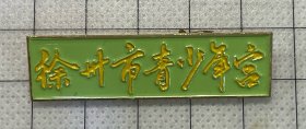 徐州市青少年宫纪念章 证章