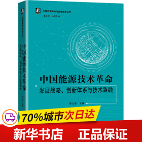 中国能源技术革命：发展战略、创新体系与技术路线