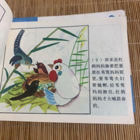 知识童话全十册其中谁的脚最有用最后一页有破损