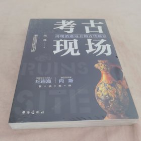 考古现场：再现消逝远去的古代场景