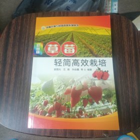 草莓轻简高效栽培（彩图版）/设施农业与轻简高效系列丛书