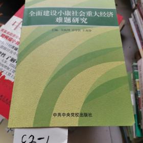 全员建设小康社会重大经济难题研究