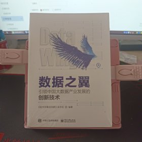 数据之翼 引领中国大数据产业发展的创新技术