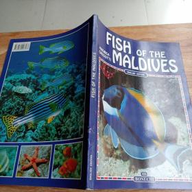 FISH OF THE MALDIVES书名以图片为准