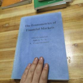 the econometrics of financial markets