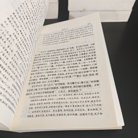 二十四史简体字本后汉书（8-9卷三五-卷七五，卷七六-卷九〇/志一-志三〇）