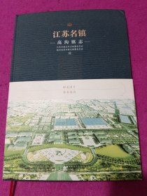 江苏名镇志 高沟镇志