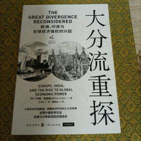 大分流重探：欧洲、印度与全球经济强权的兴起