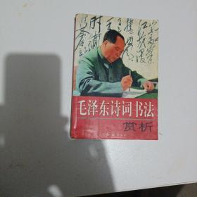 毛泽东诗词书法赏析