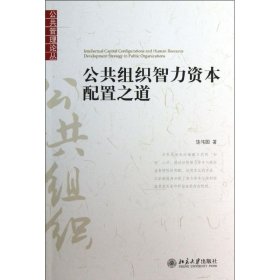 公共组织智力资本配置之道