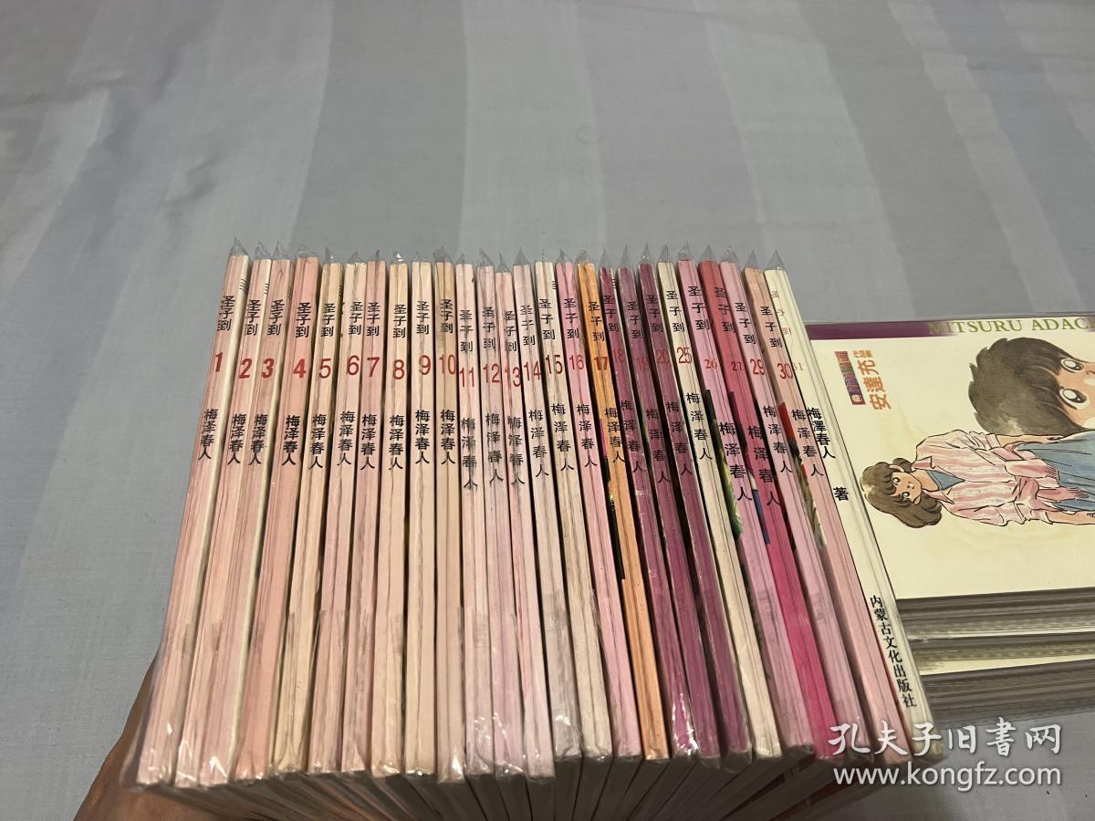 圣子到