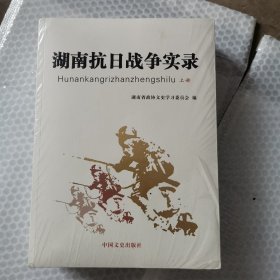湖南抗日战争实录