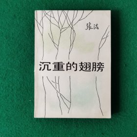 沉重的翅膀（茅盾文学奖）（张洁作品）