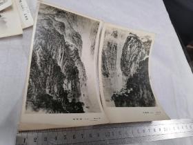 早期中国画老照片5张：宋文治2张、亚明1张、应野平1张、林曦明1张。约15x10厘米