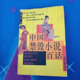 中国禁毁小说百话 上海古籍出版社