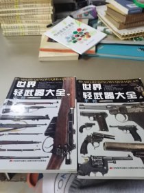 世界轻武器大全（上中）