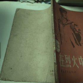 在烈火中永生