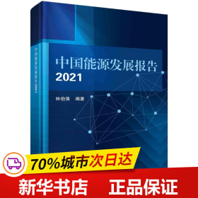 中国能源发展报告2021