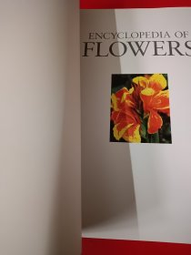 ENCYCLOPEDIA OF FLOWERS 植物百科鲜花，超过1000种