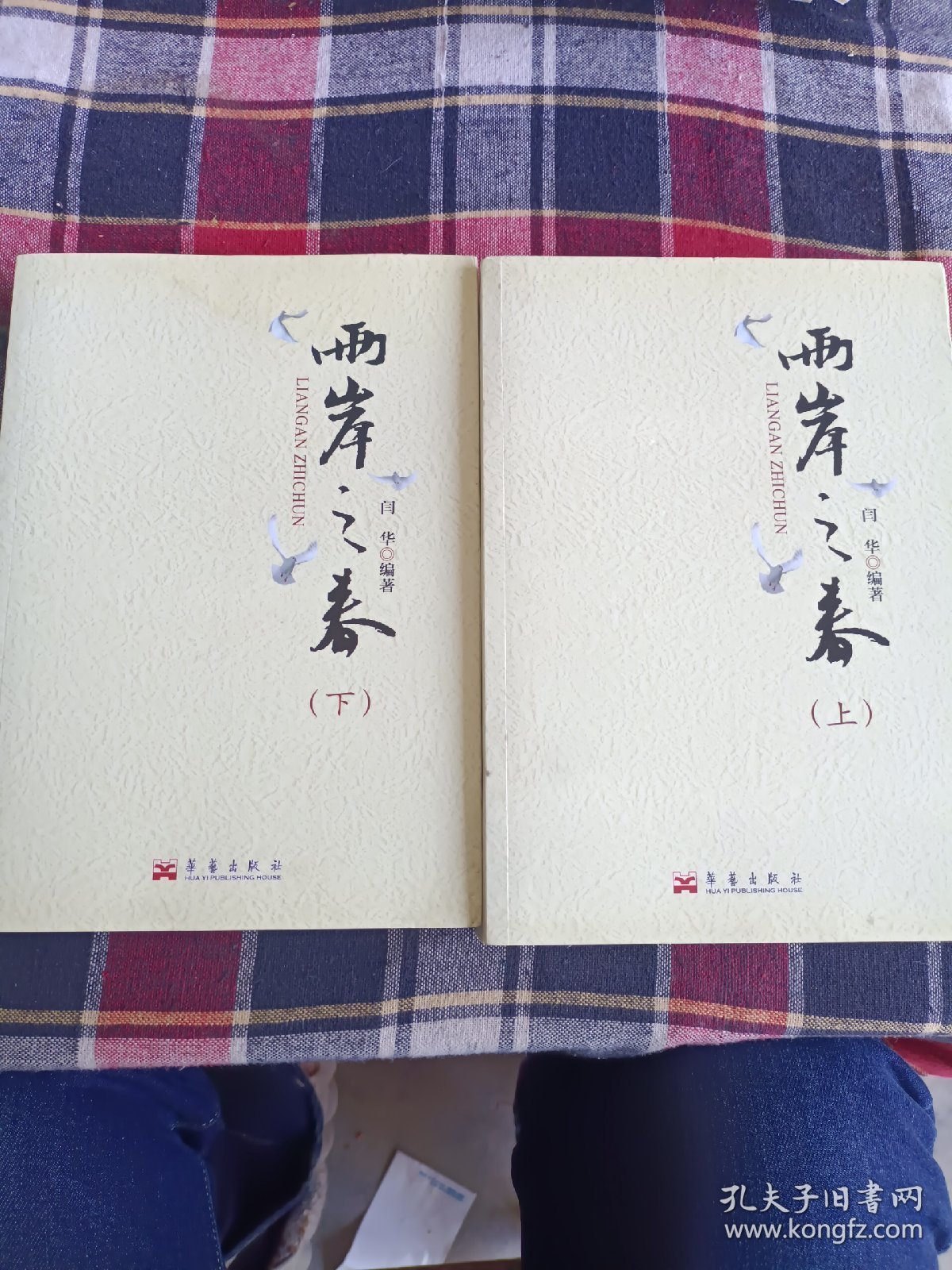 两岸新编中国近代史·晚清卷（上、下）