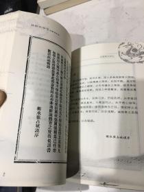 薛颠武学录（上下卷）全