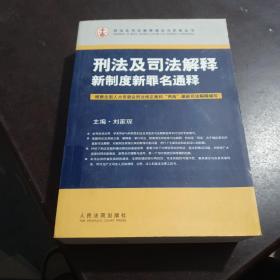 刑法及司法解释新制度新罪名通释