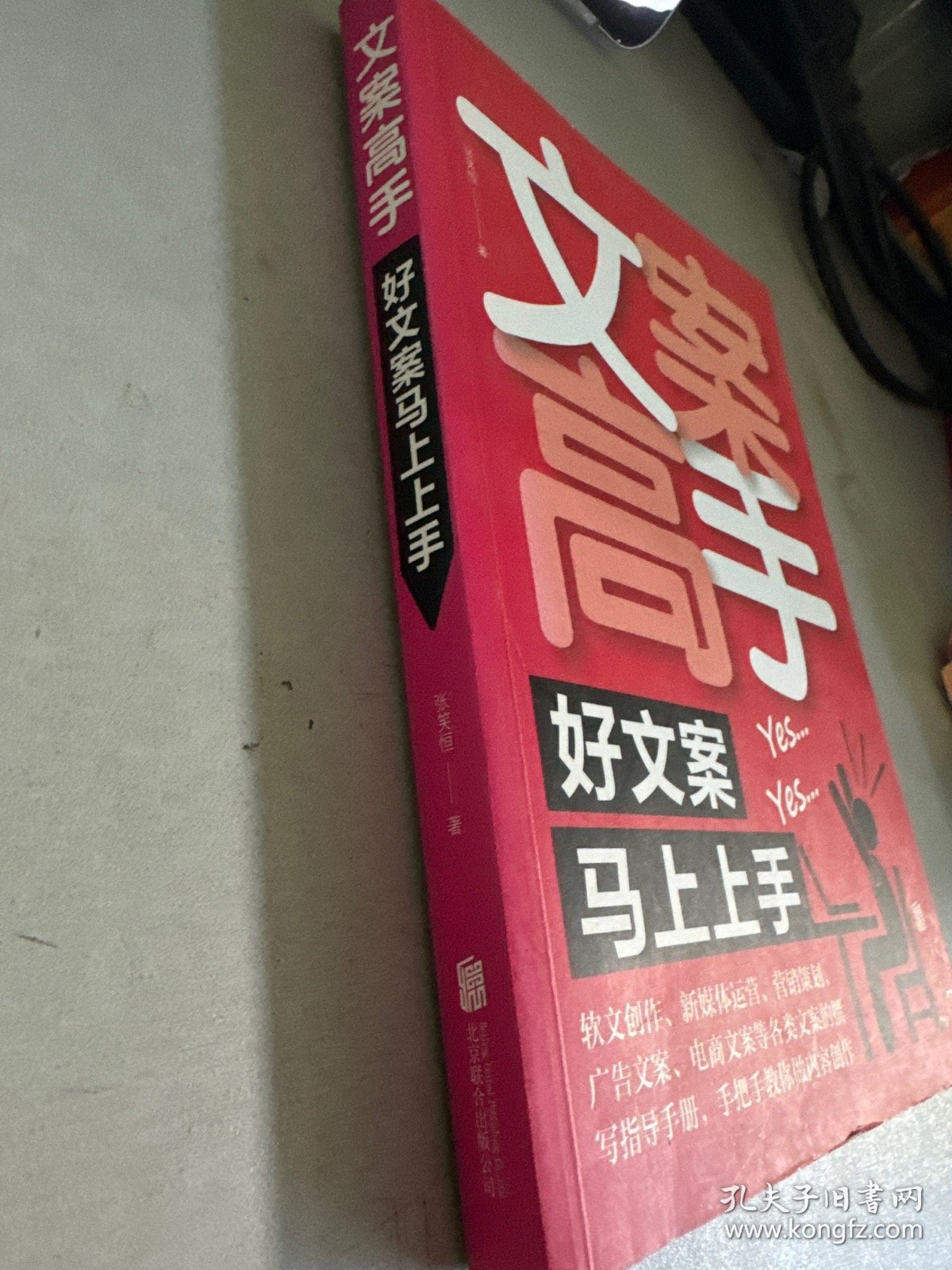 文案高手：好文案马上上手