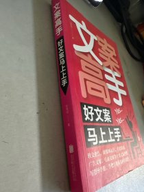 文案高手：好文案马上上手