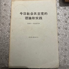 今日社会民主党的理论和实践