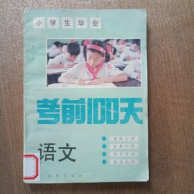 小学生毕业考前100天·语文