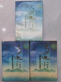 大道行 访孤独居士王力平先生