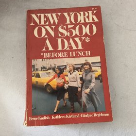 New York on $500 a Day