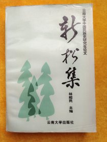 新松集（云南大学中国民族史研究生论文）