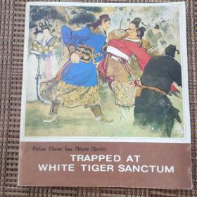 TRAPPED AT WHITE TIGER SANCTUM误入白虎堂