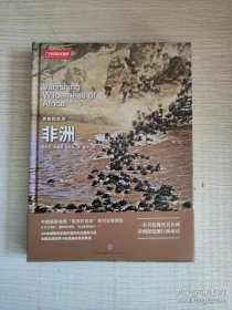 美丽的地球：非洲