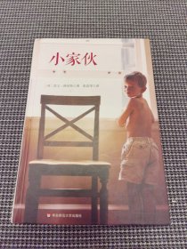 小家伙：一个真实的故事