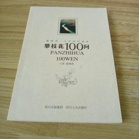 攀枝花100问