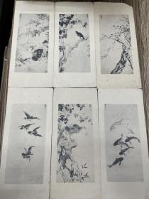 民国 汪亚尘绘画作品散页十一张（印刷品）
