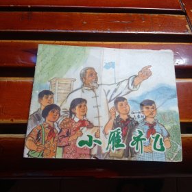 连环画：小雁齐飞