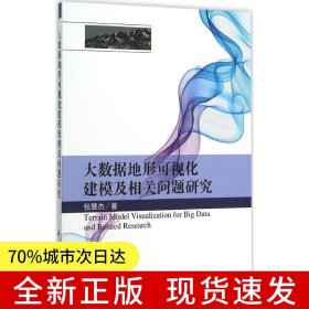 大数据地形可视化建模及相关问题研究