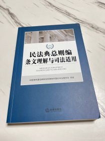 民法典总则编条文理解与司法适用