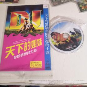 天下的姐妹DVD
草原劲爆的士高