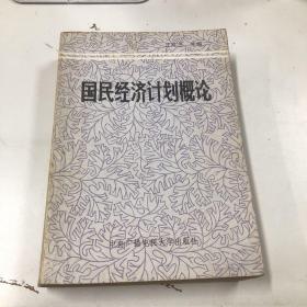 國(guó)民經(jīng)濟(jì)計(jì)劃概論